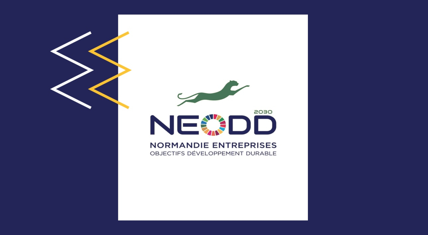 Evol'Up by NEODD : aider les TPE-PME normandes à passer à l'action environnementale