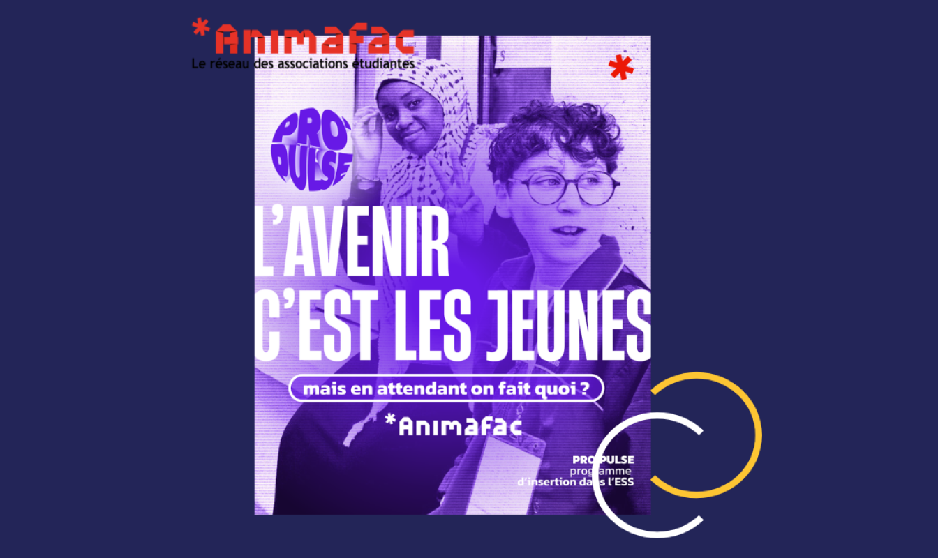 Pro'Pulse : faciliter l'insertion par et pour les jeunes !